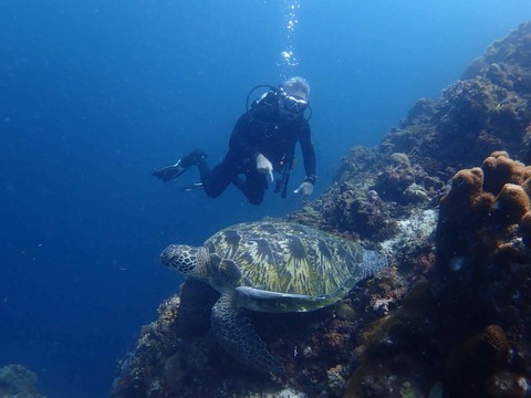 Messenger_creation_4A1B02FF-B152-4937-A806-7A93E046384B