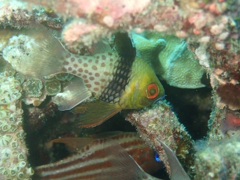 P3070153