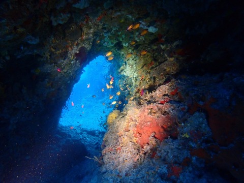 P7010028