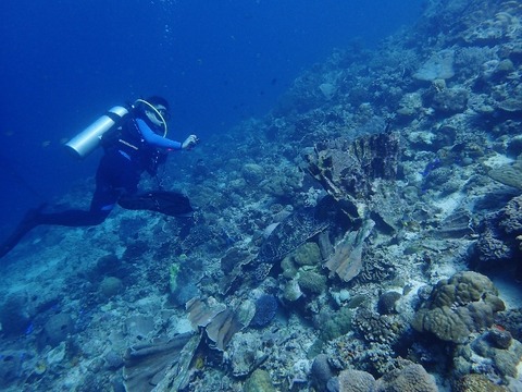 P2230492 (640x480)