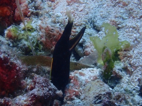 IMG_20260501_143606
