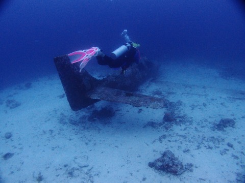 PA067115 (640x480)