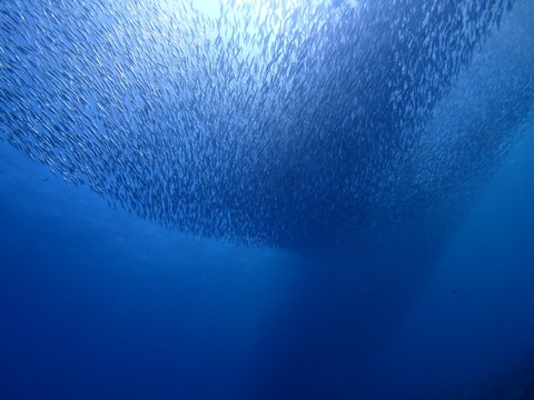 P7040057