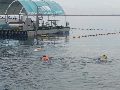 IMG_20260522_142657