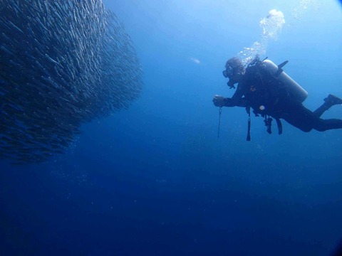 Messenger_creation_766E6768-F58F-4C79-BDF2-B5AA41BFBA3C