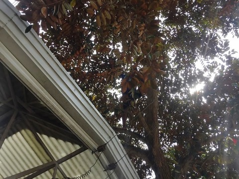 86291432_219689412401006_5622197385435283456_n (640x480)