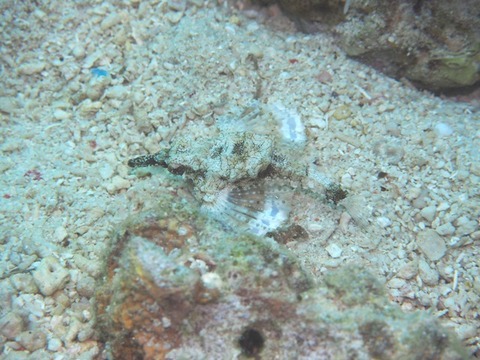 P9070028