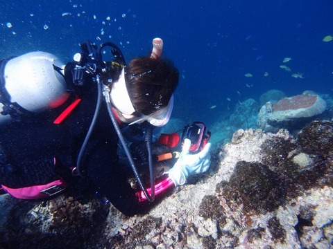 P2072065 (640x480)