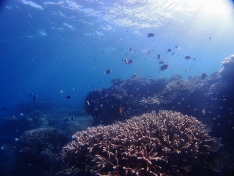 P1012457 (640x480)