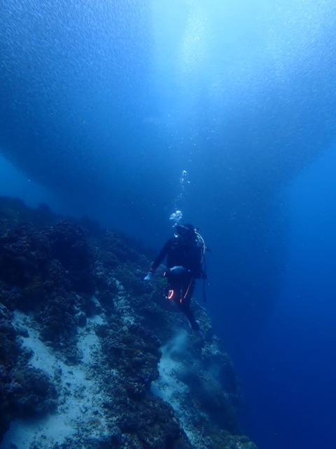 IMG_20260704_162113
