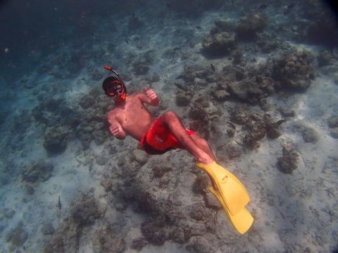 PA253348 (640x480)