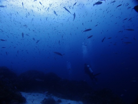 P1016524 (640x480)