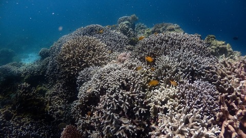 P2130284 (640x360)