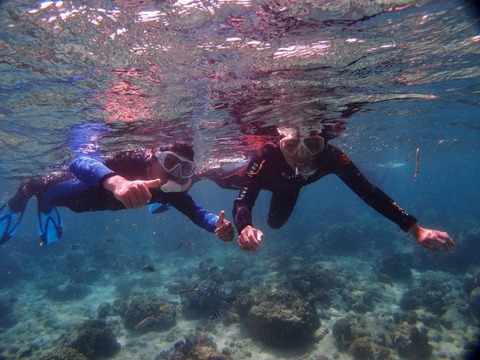 P2261329 (640x480)