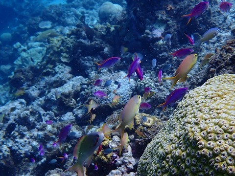 IMG_20260628_122820