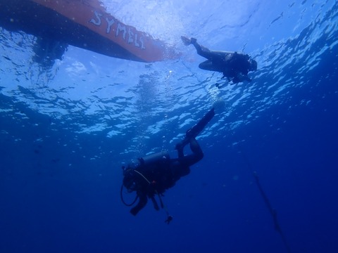 P7020005
