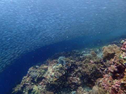 Messenger_creation_E218A593-8DC7-4429-8F86-06ABEEE05582