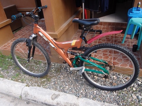 PA217436 (640x480)