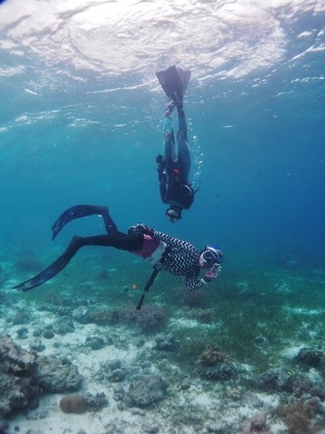 P2070195 (480x640)