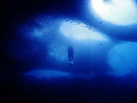 P1013691 (640x480)
