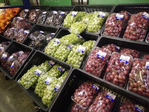 IMG20161020124716 (640x480)