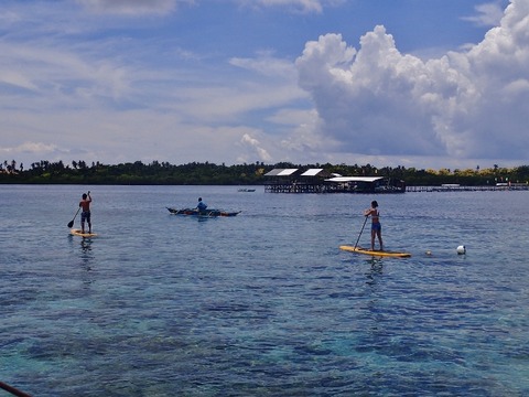 P8140288 (640x480)