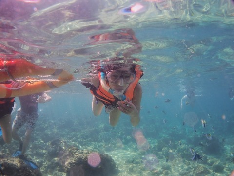 PB210069 (640x480)