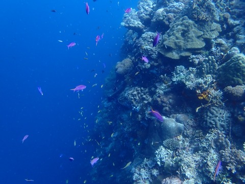 P3080003