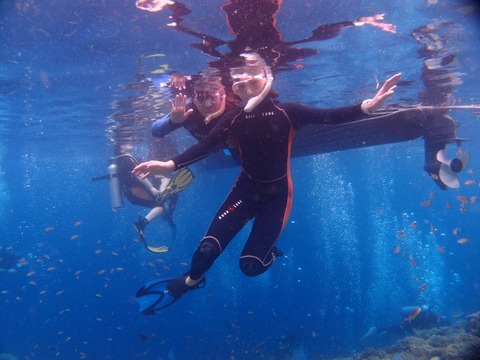 P1133220 (640x480)