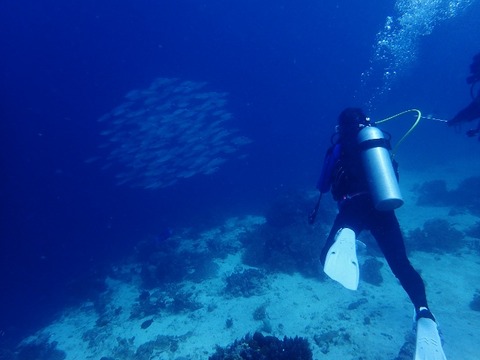 P3280102 (640x480)