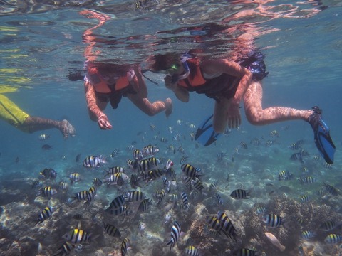 P8140069 (640x480)