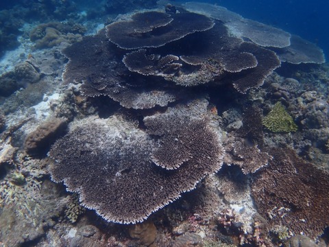 P2280019
