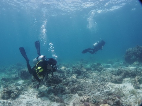 PA290013 (640x480)