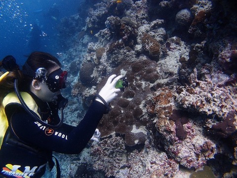 P2150911 (640x480)