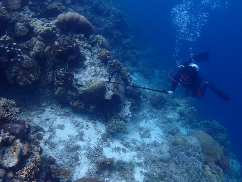 P3080050