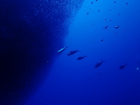PA030215 (640x480)
