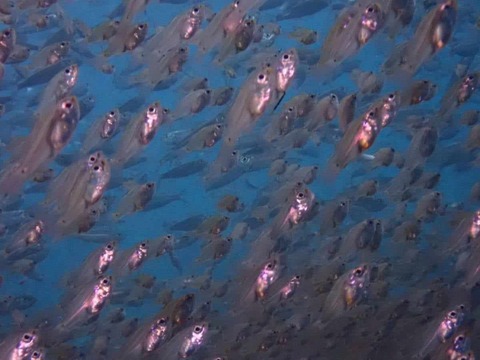 received_1237581864031478