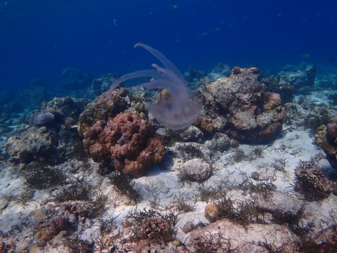P9270002