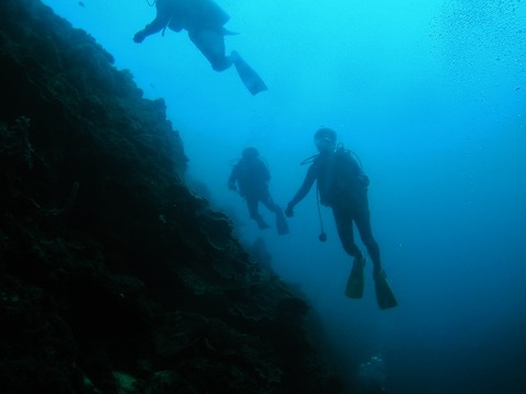 P1010021 (640x480)