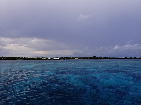 P5070778 (640x480)