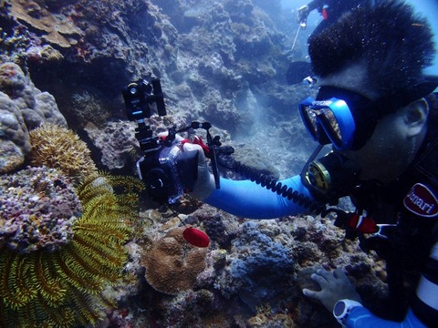 P8084281 (640x480)