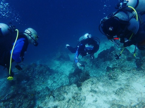 P2160062 (640x480)