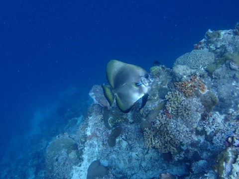 P8010032