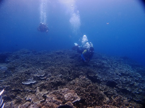 P5040702 (640x480)