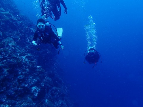 P8250058 (640x480)