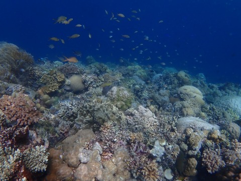 P7260008