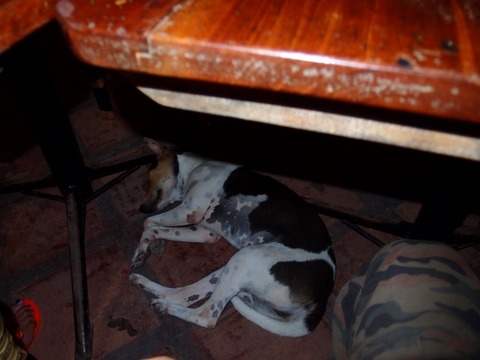 PA067182 (640x480)