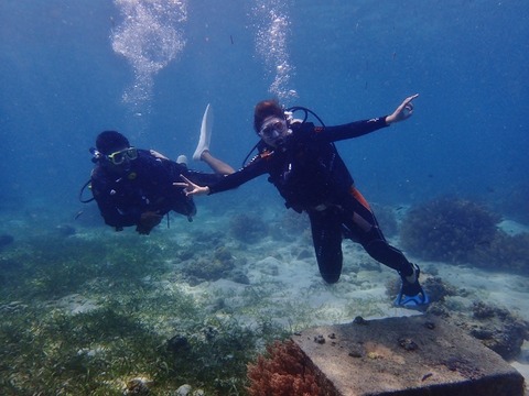 P7060078 (640x480)