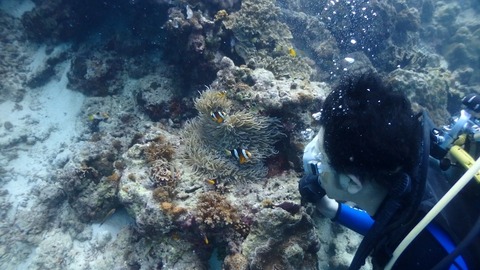 P1210035 (640x360)