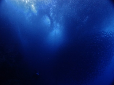 P1017280 (640x480)